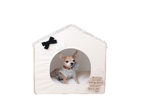 pet products - dogs